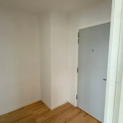 Færdigmalet entré med hoveddør og lyst trægulv efter indvendig renovering, Aarhus Skejby