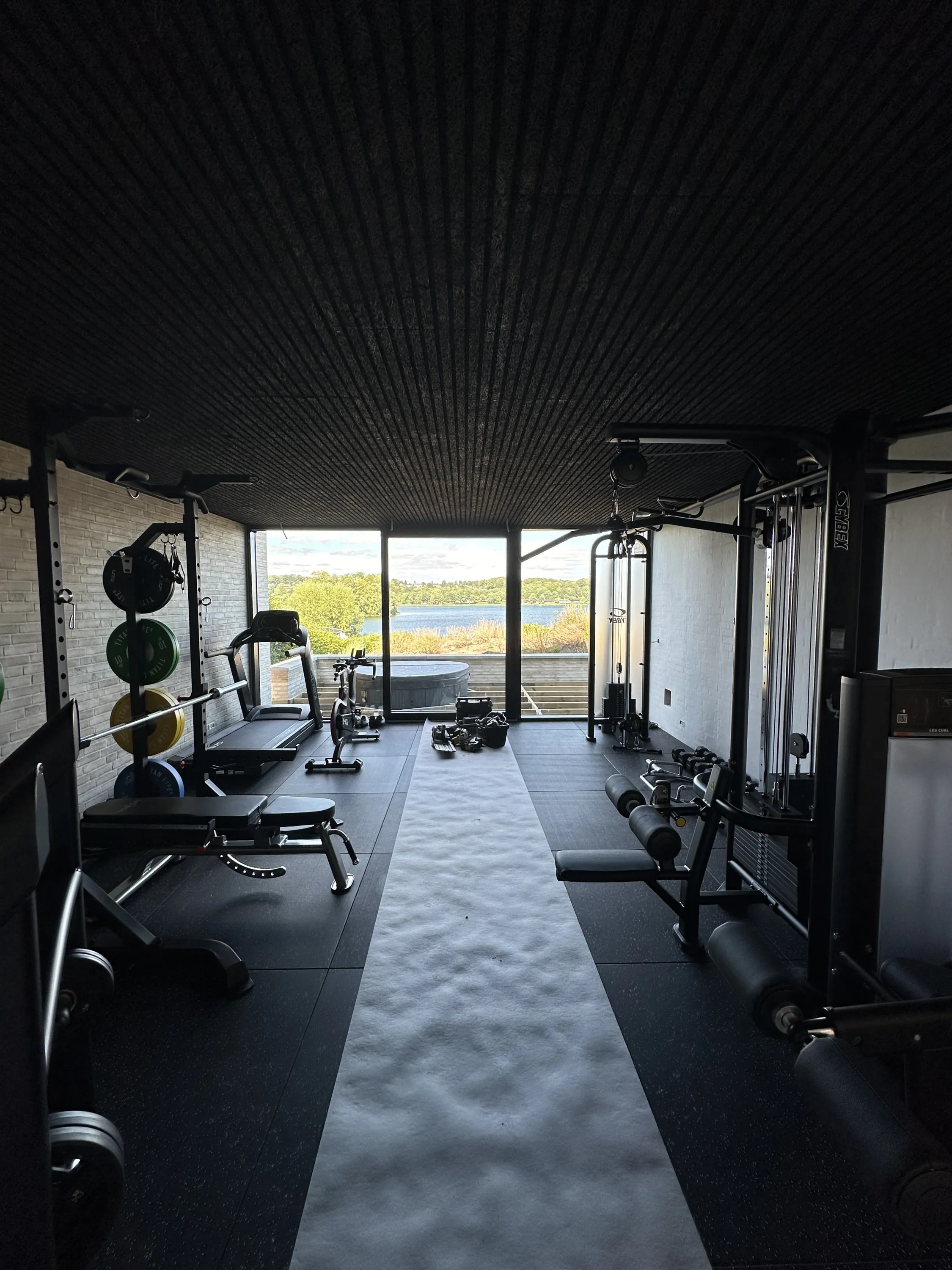 Færdigmalet fitnessrum med mørke vægge, nybyg Skanderborg Sø
